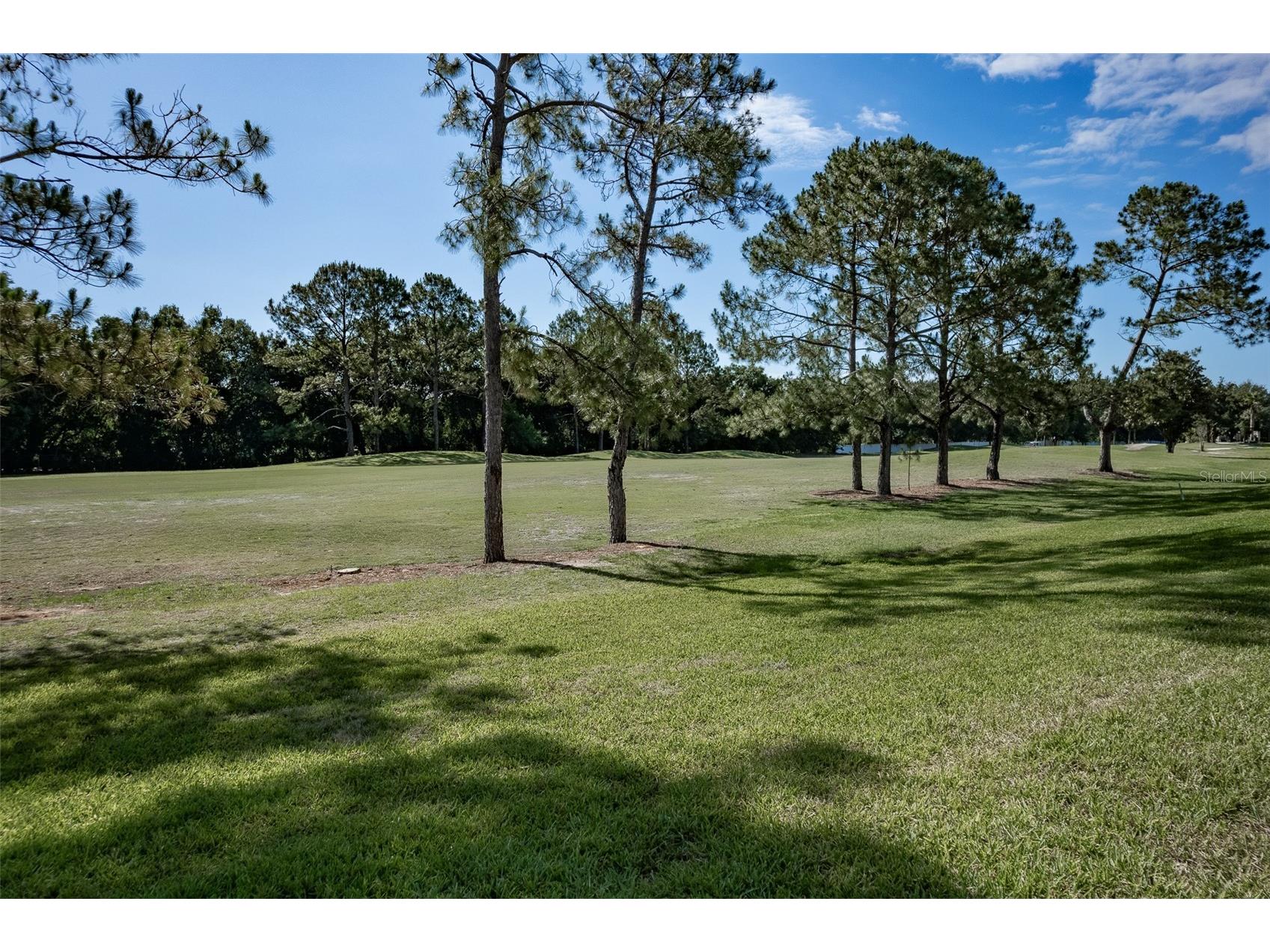 16023 SW 14th Avenue Road Ocala FL 34473 OM724799 image47