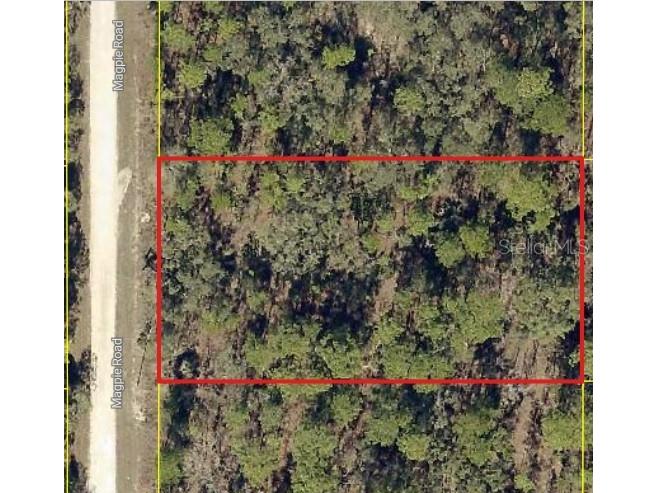 16026 Magpie Road Weeki Wachee FL 34614 W7886811 image1