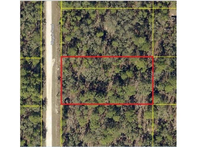 16026 Magpie Road Weeki Wachee FL 34614 W7886811 image2