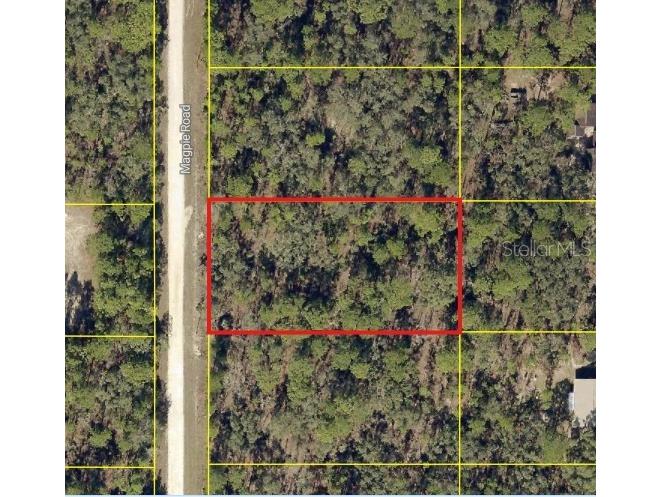 16026 Magpie Road Weeki Wachee FL 34614 W7886811 image3