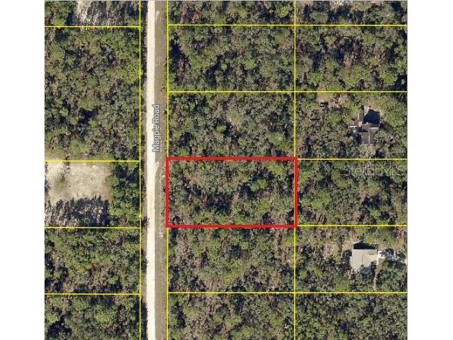 16026 Magpie Road Weeki Wachee FL 34614 W7886811 image4
