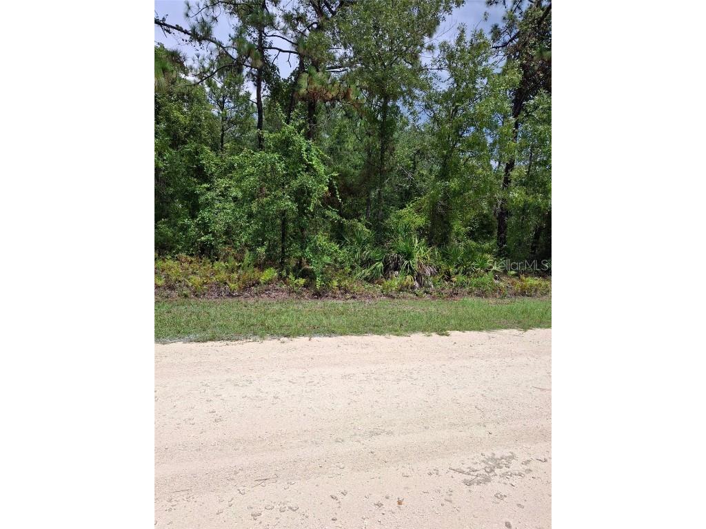 16026 Sheldrake Loop Weeki Wachee FL 34614 TB8415849 image1