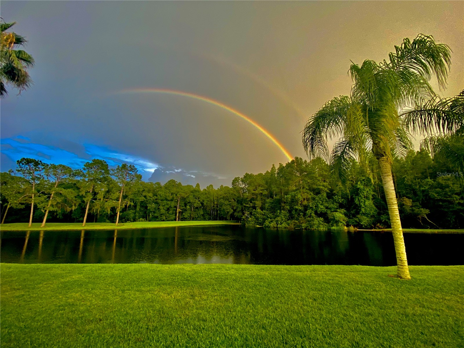 16026 Shinnecock Drive Odessa FL 33556 TB8504839 image57
