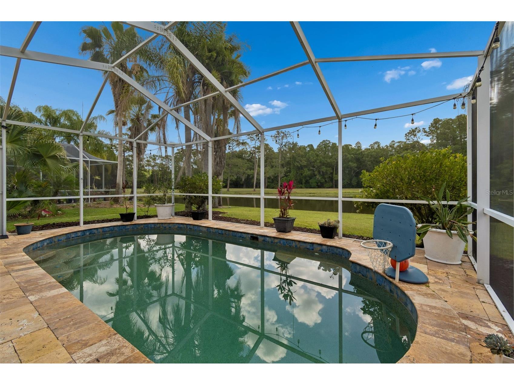 16026 Shinnecock Drive Odessa FL 33556 TB8504839 image58
