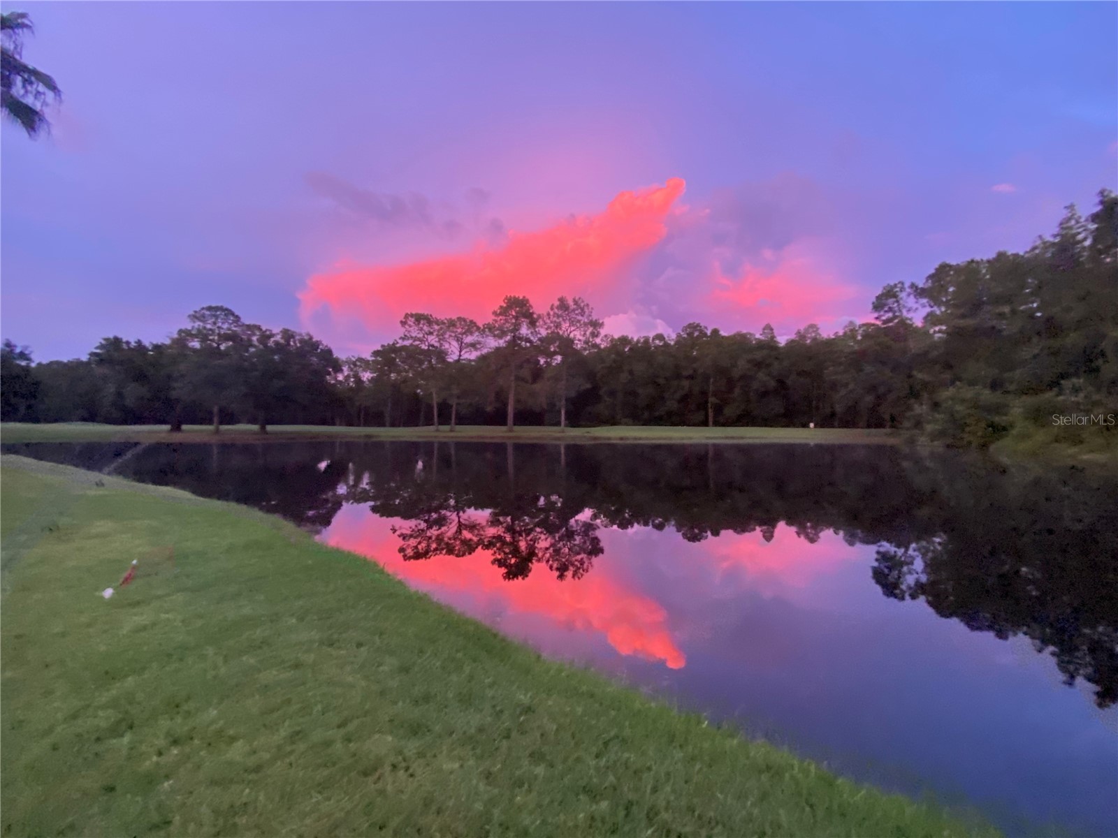 16026 Shinnecock Drive Odessa FL 33556 TB8504839 image59