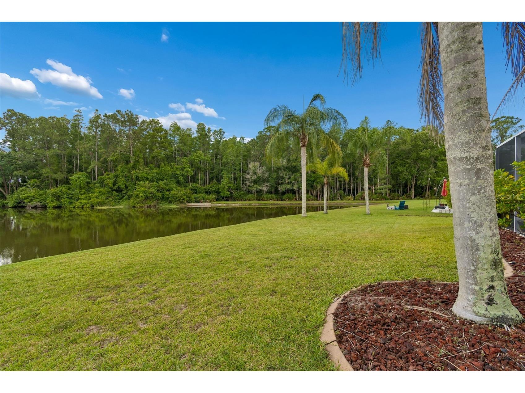 16026 Shinnecock Drive Odessa FL 33556 TB8504839 image60