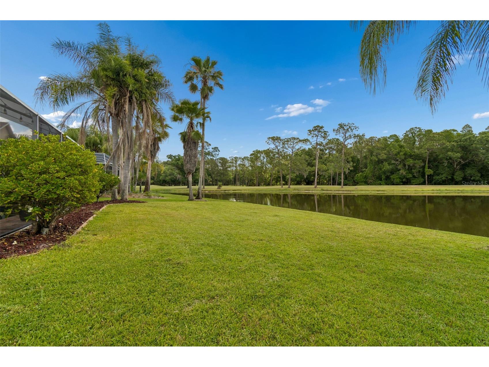 16026 Shinnecock Drive Odessa FL 33556 TB8504839 image64
