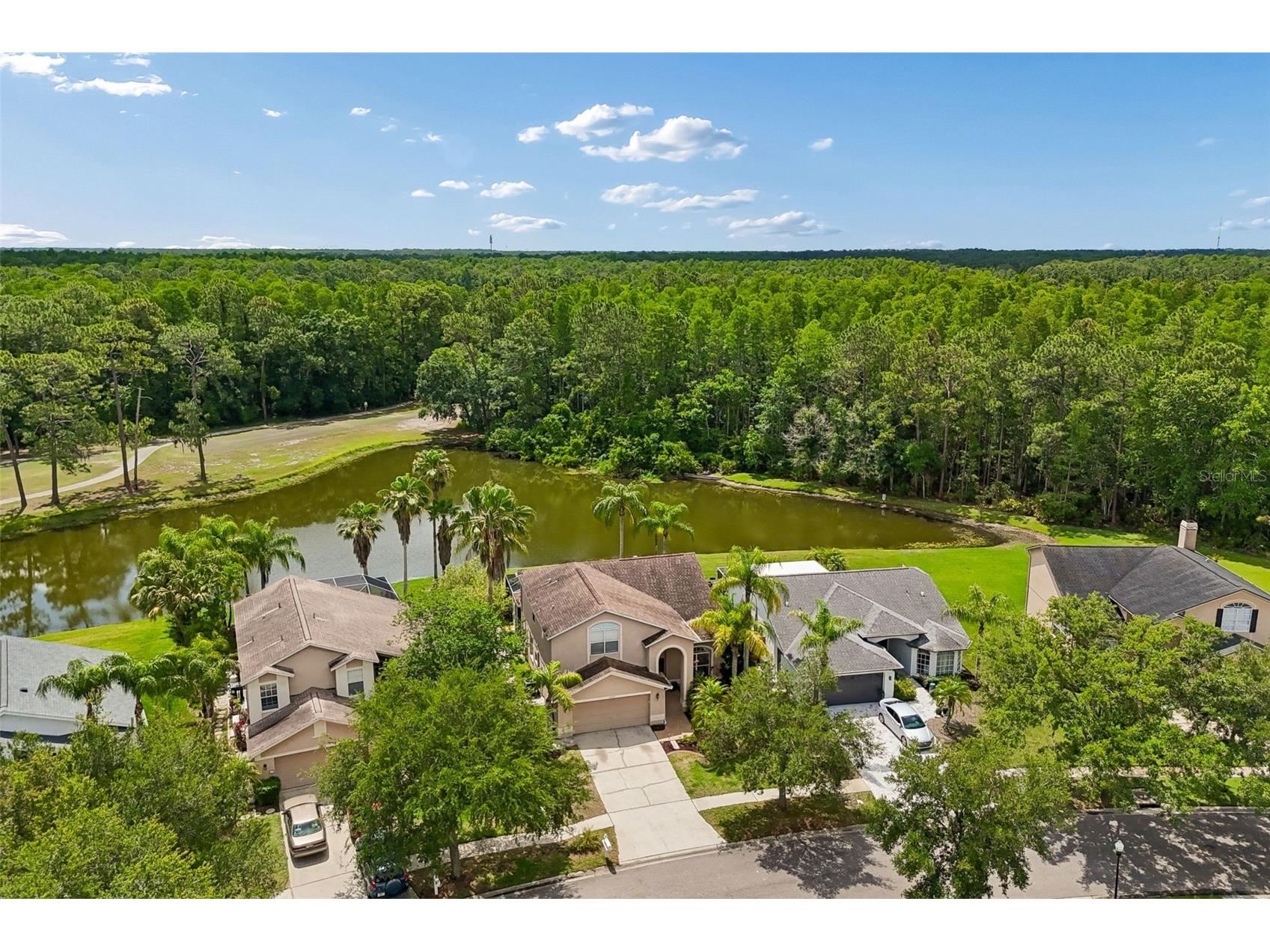 16026 Shinnecock Drive Odessa FL 33556 TB8504839 image65