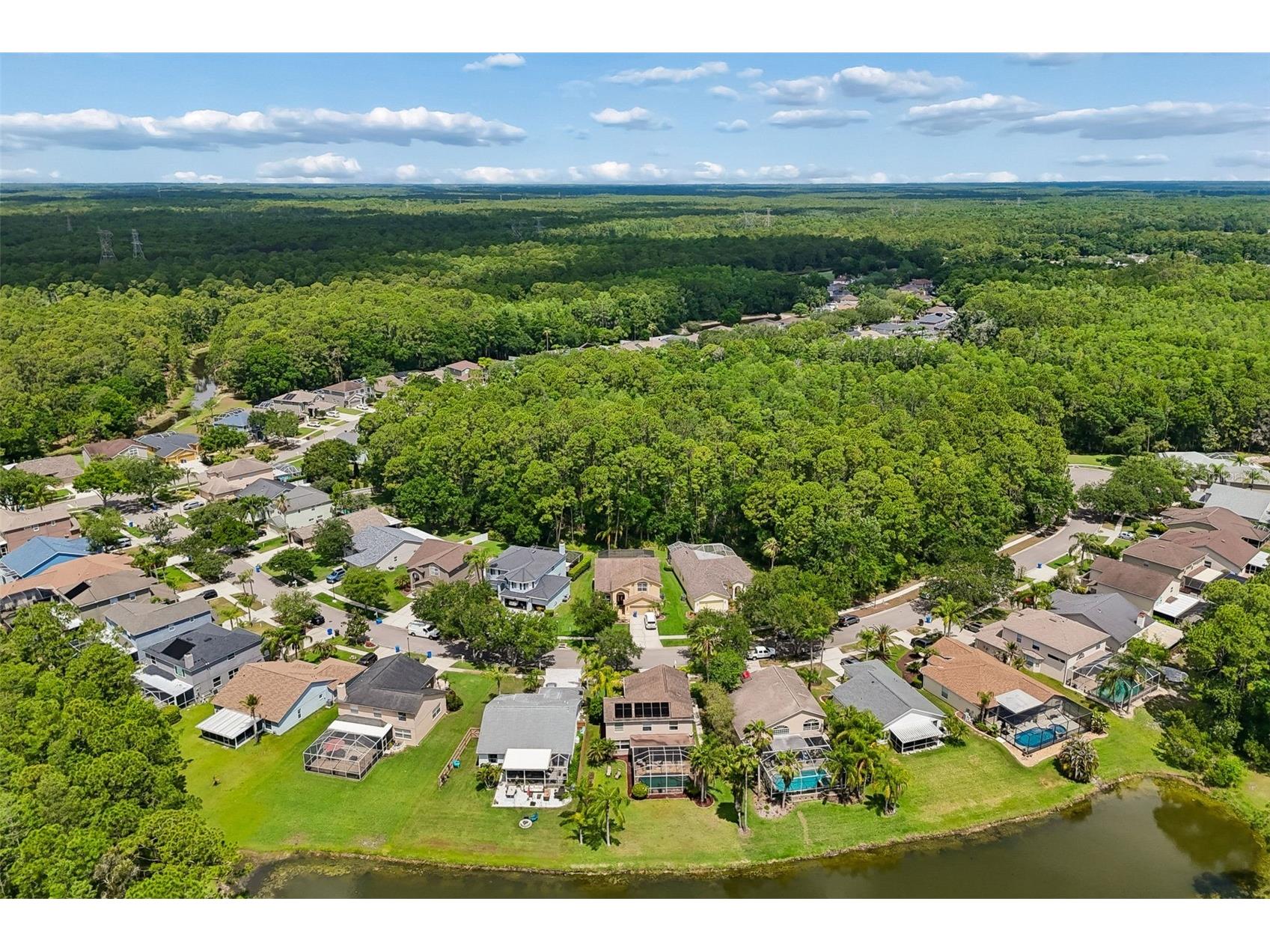 16026 Shinnecock Drive Odessa FL 33556 TB8504839 image69