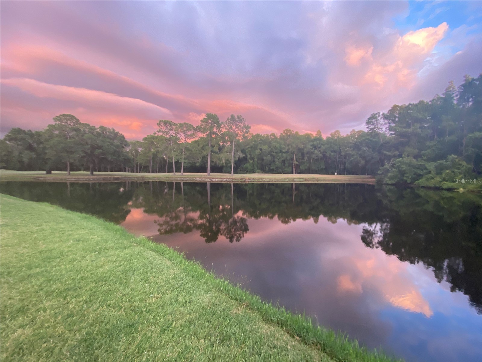 16026 Shinnecock Drive Odessa FL 33556 TB8504839 image7
