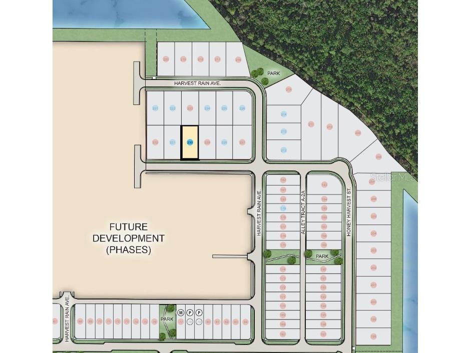 16029 Honey Harvest Street Winter Garden FL 34787 O6327218 image4