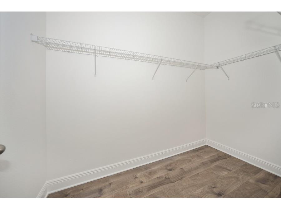 16029 Volterra Point Montverde FL 34756 TB8477901 image16