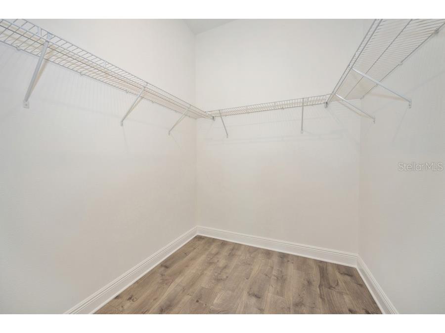 16029 Volterra Point Montverde FL 34756 TB8477901 image19
