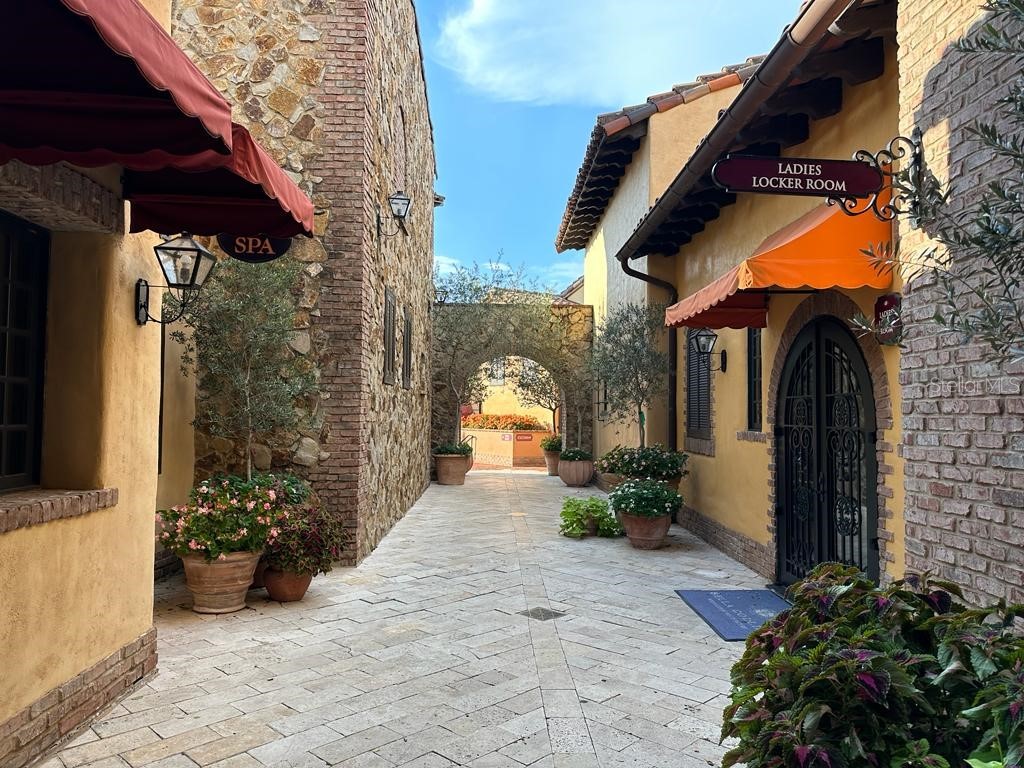 16029 Volterra Point Montverde FL 34756 TB8477901 image47