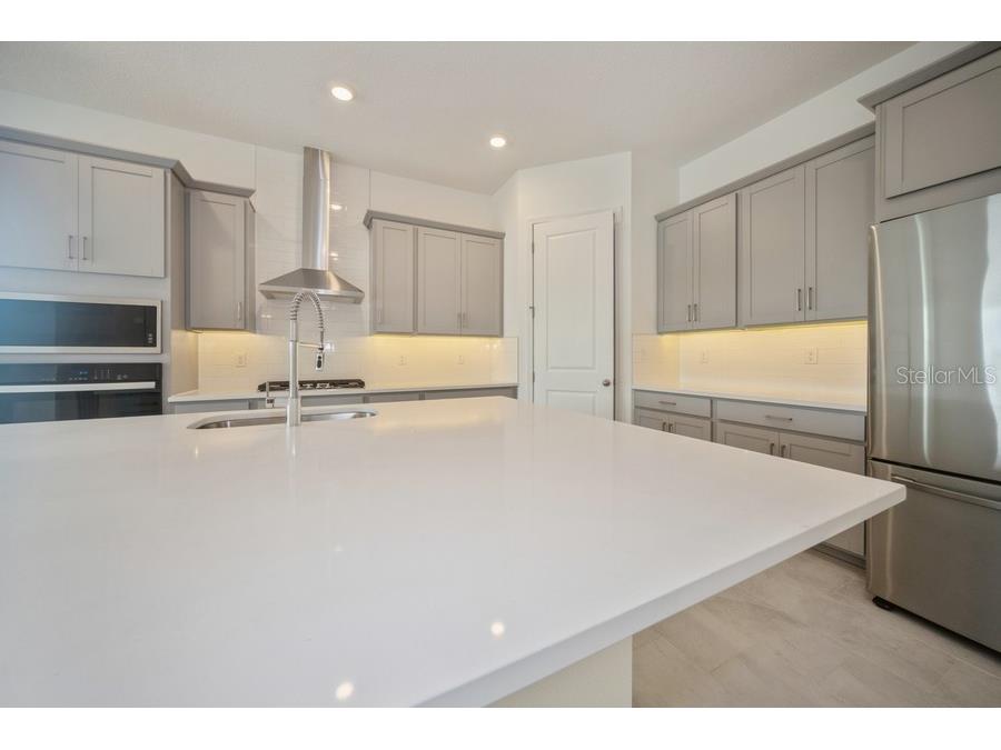 16029 Volterra Point Montverde FL 34756 TB8477901 image6