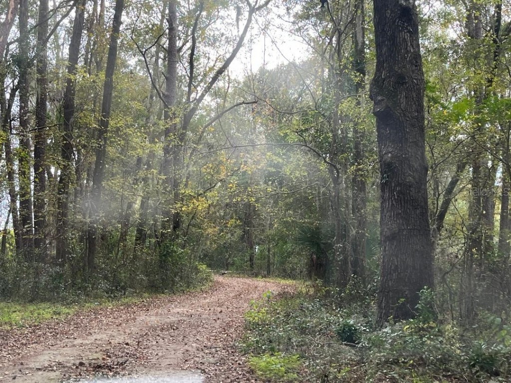 1602A SW Williston Road Gainesville FL 32608 GC518289 image2