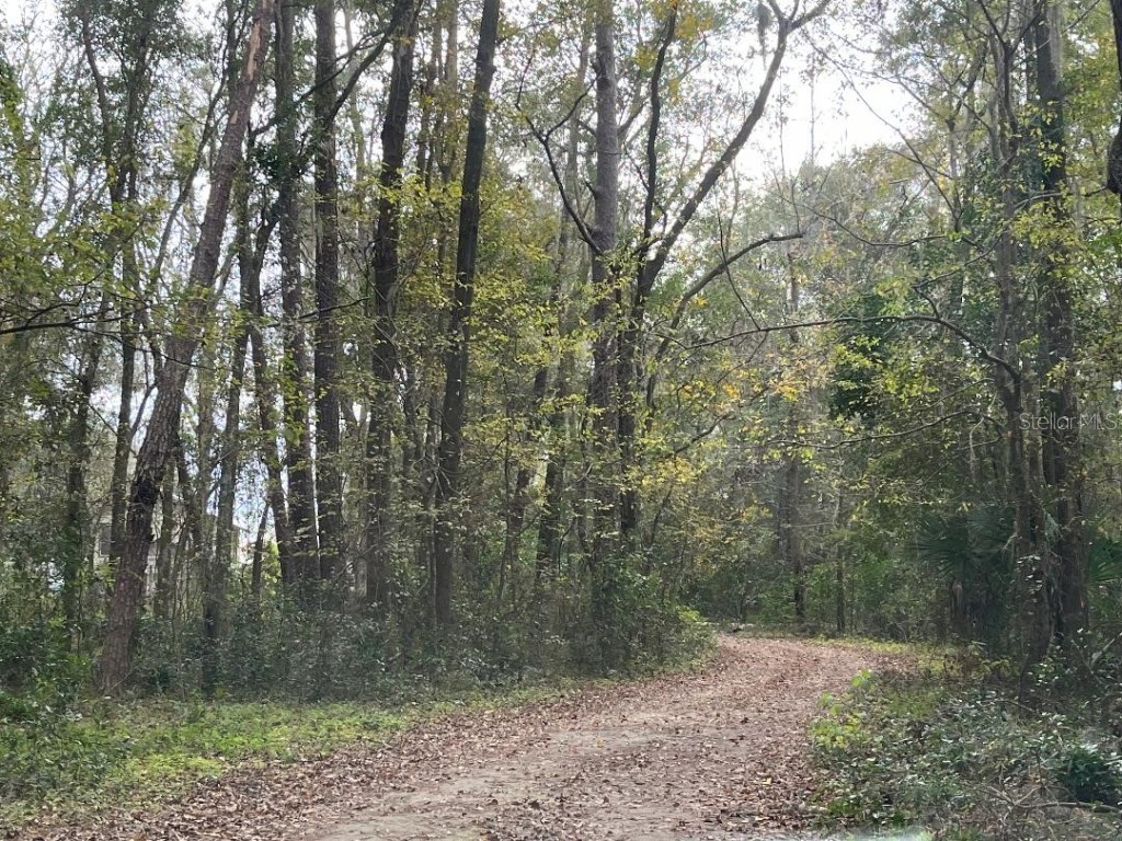 1602A SW Williston Road Gainesville FL 32608 GC517526 image4