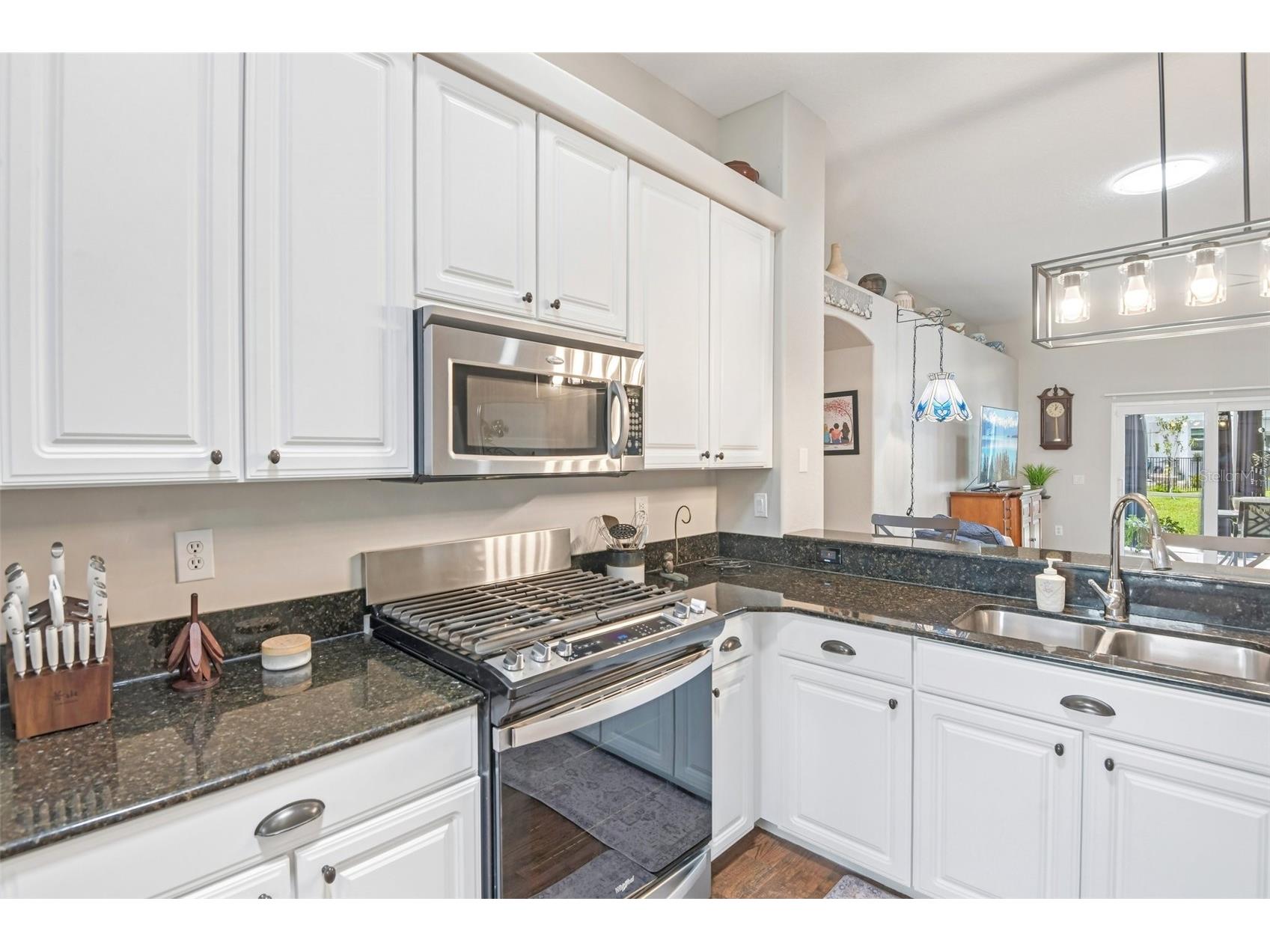 1603 Brooksbend Drive Wesley Chapel FL 33543 TB8513745 image9