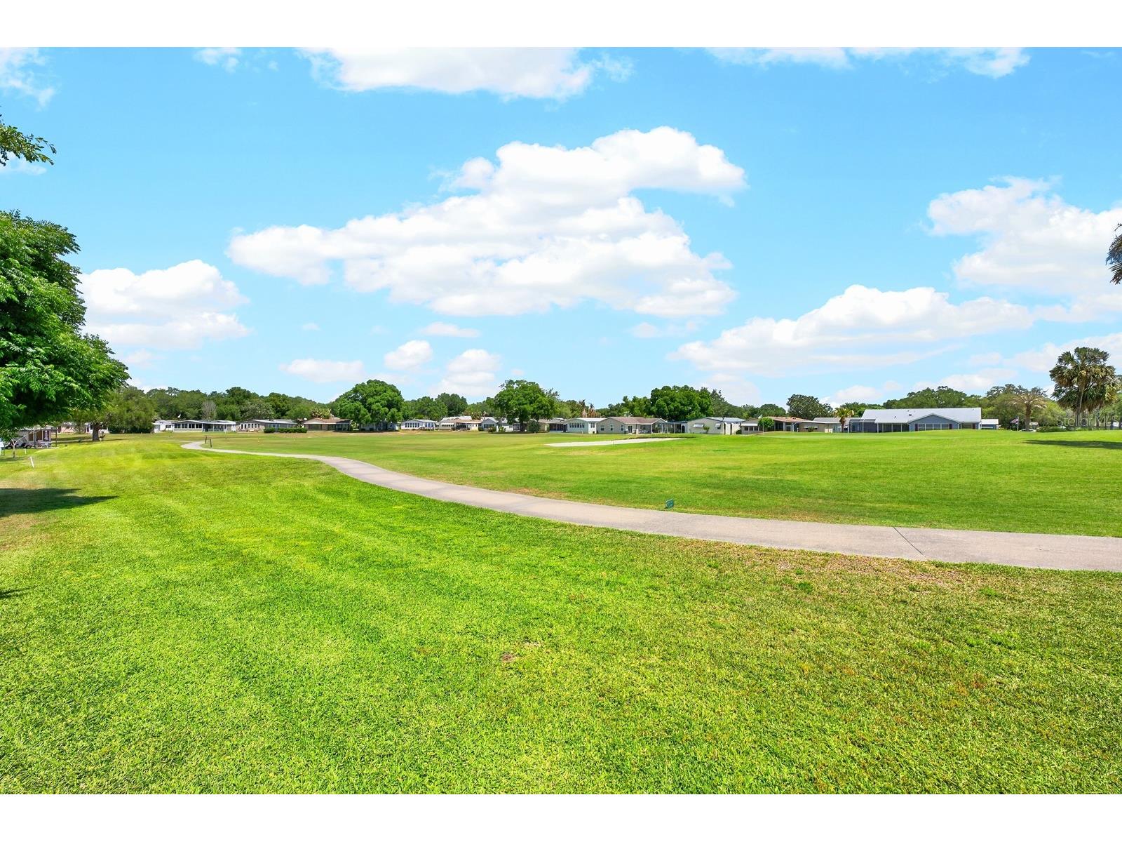 1603 Cog Hill Drive The Villages FL 32159 O6390602 image25