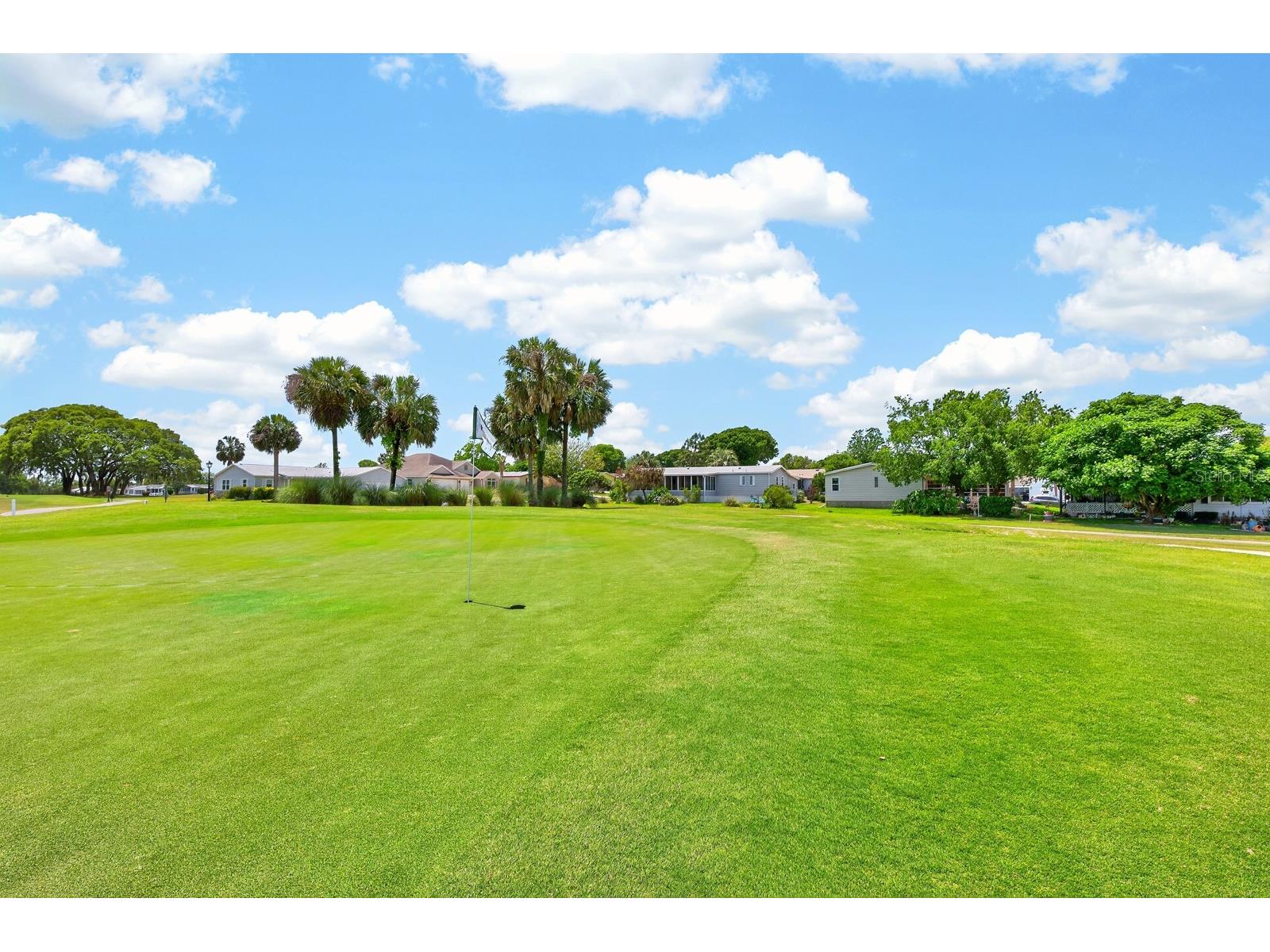 1603 Cog Hill Drive The Villages FL 32159 O6390602 image26