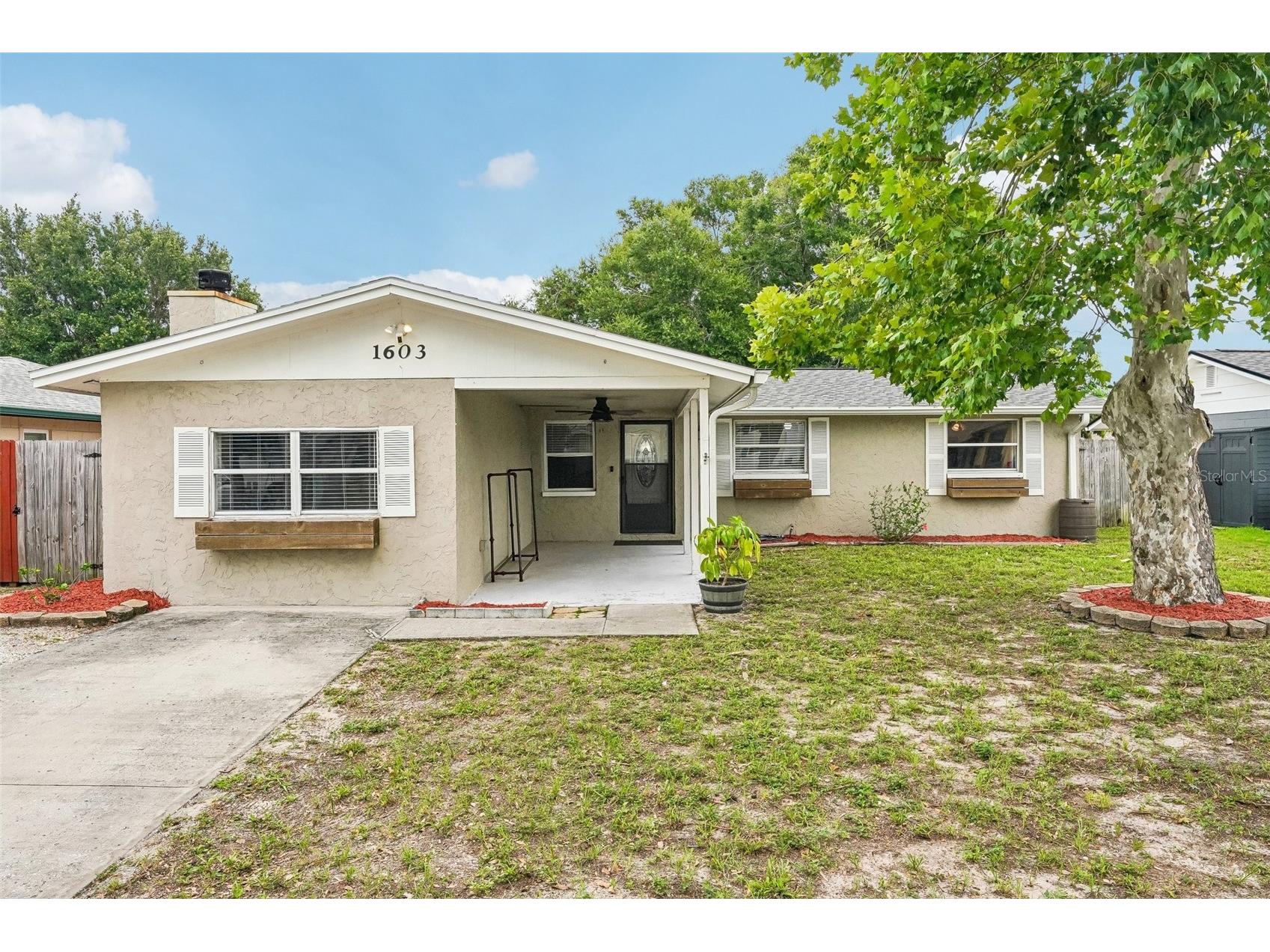 1603 Fox Run Drive Tarpon Springs FL 34689 TB8514327 image1