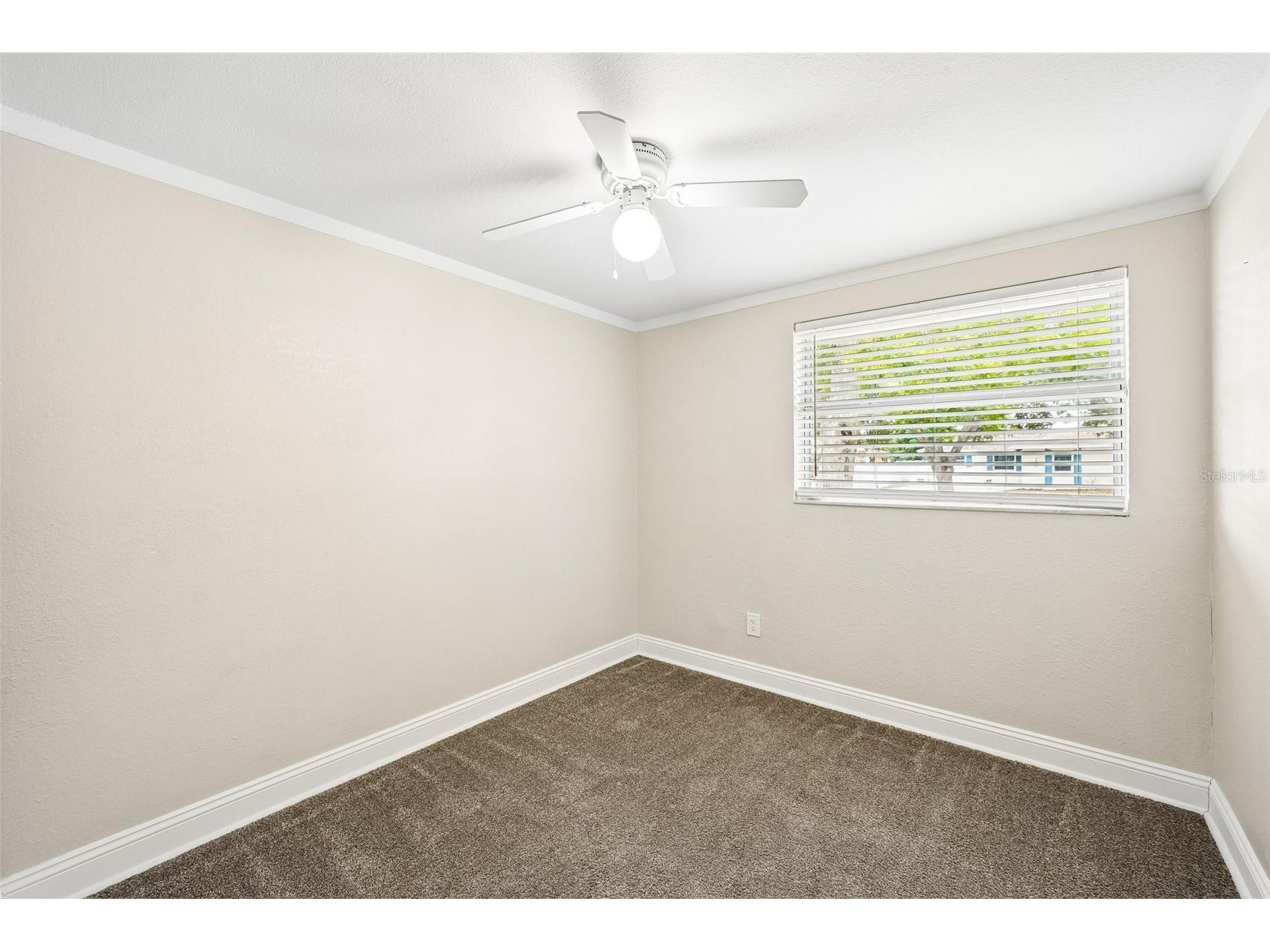 1603 Fox Run Drive Tarpon Springs FL 34689 TB8514327 image31