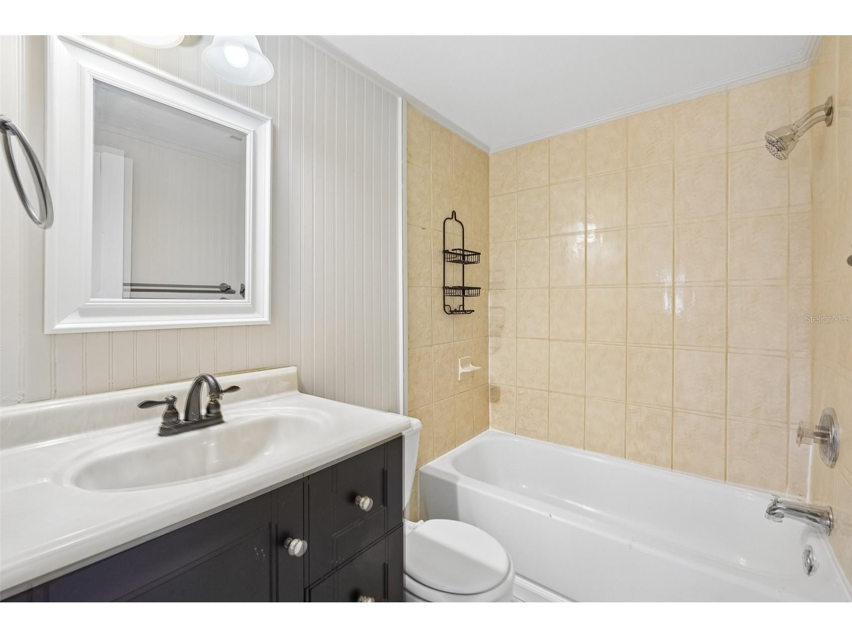 1603 Fox Run Drive Tarpon Springs FL 34689 TB8514327 image32