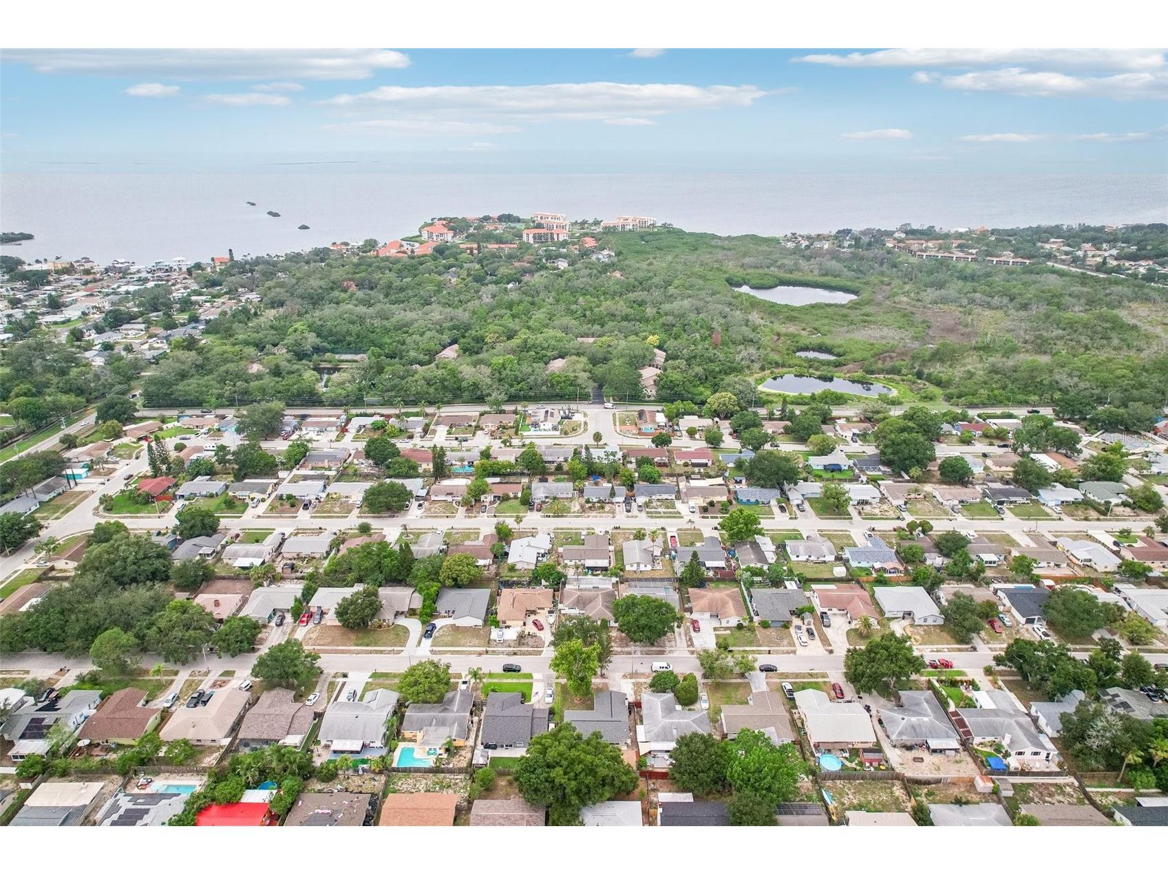 1603 Fox Run Drive Tarpon Springs FL 34689 TB8514327 image50