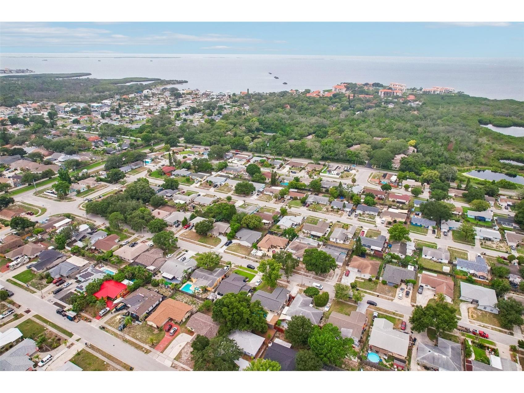 1603 Fox Run Drive Tarpon Springs FL 34689 TB8514327 image51