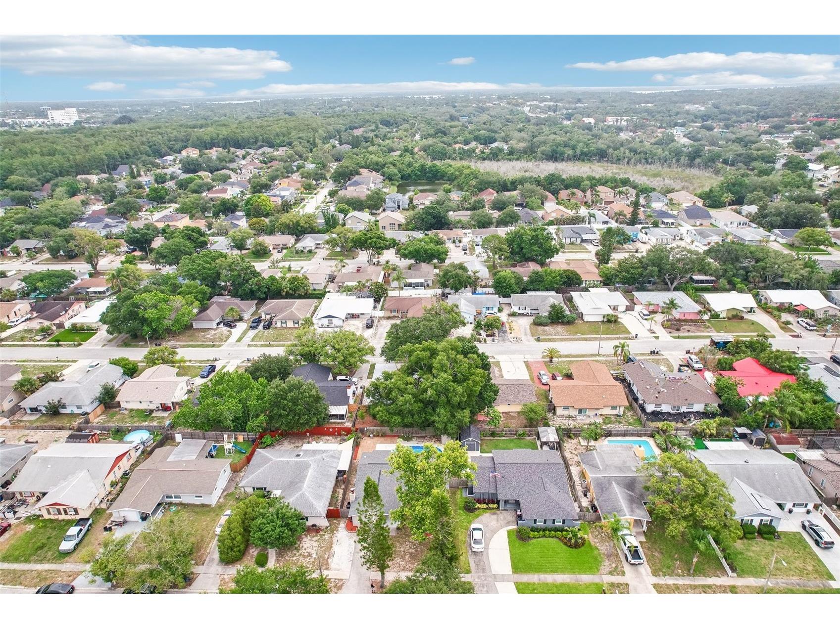 1603 Fox Run Drive Tarpon Springs FL 34689 TB8514327 image52