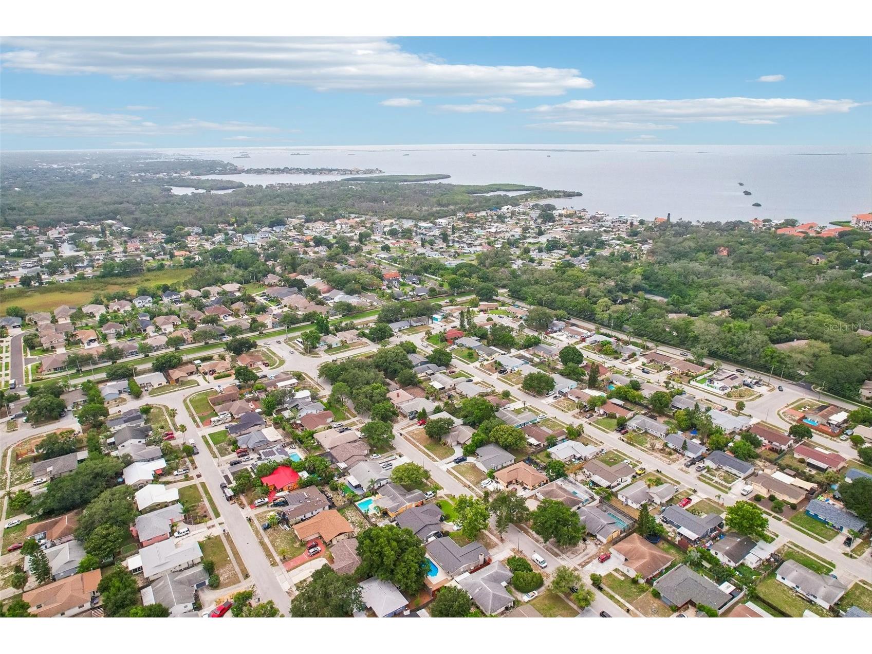 1603 Fox Run Drive Tarpon Springs FL 34689 TB8514327 image53