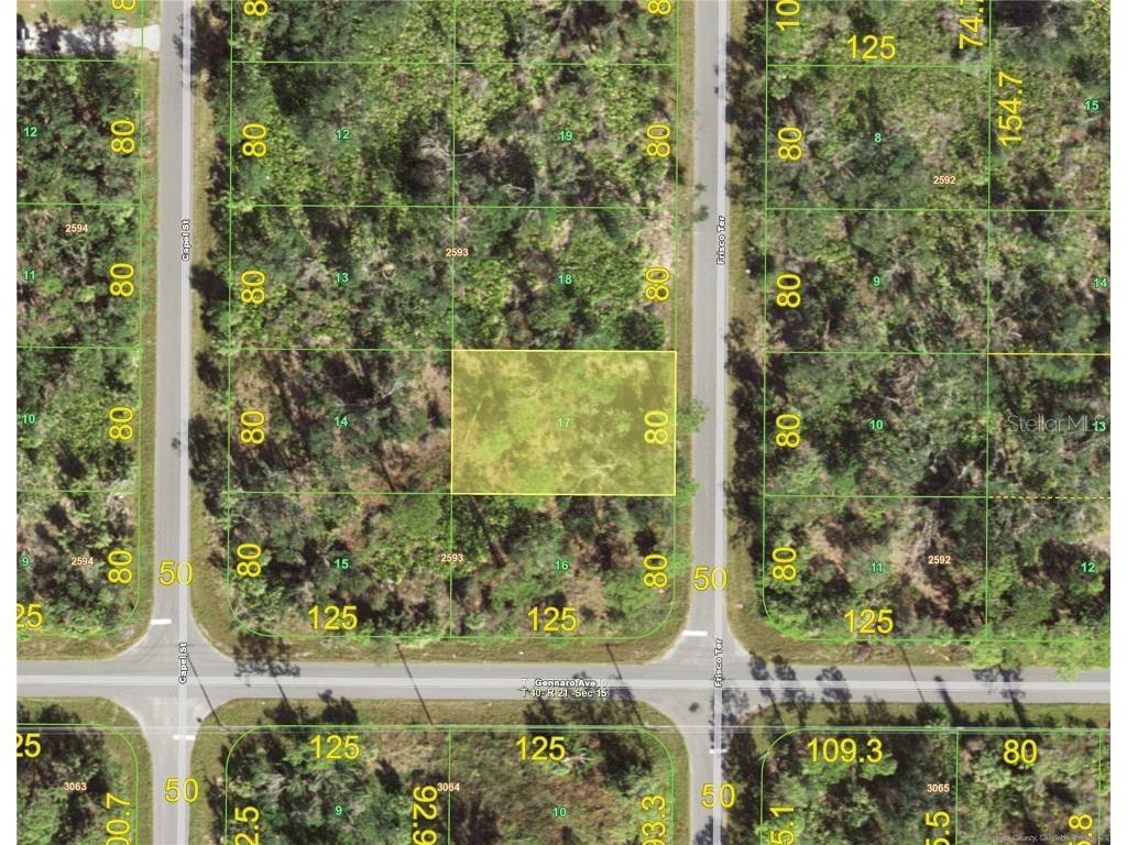 1603 Frisco Terrace Port Charlotte FL 33953 C7519827 image1