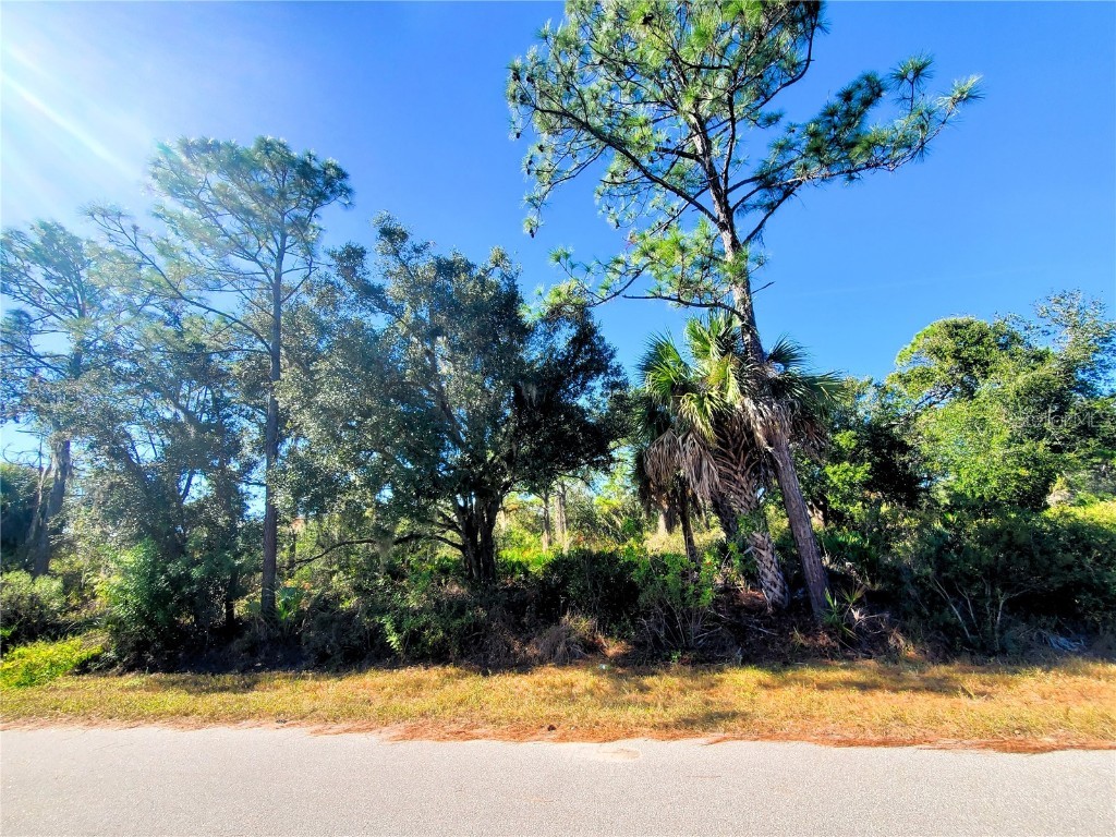 1603 Frisco Terrace Port Charlotte FL 33953 C7519827 image2