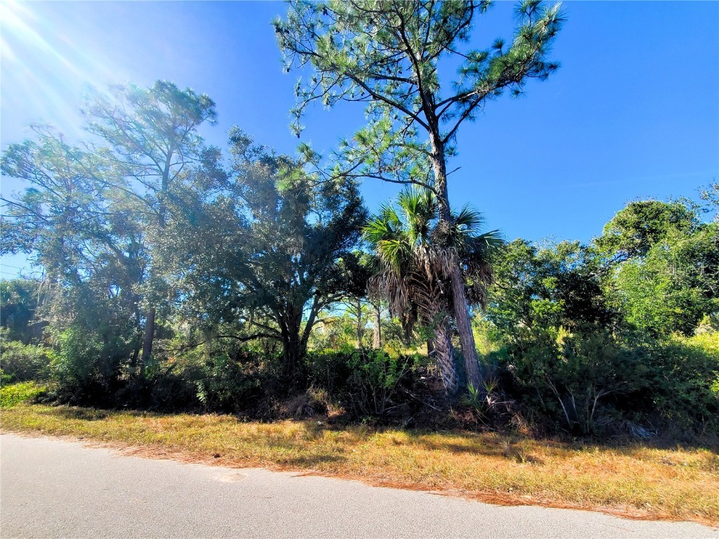 1603 Frisco Terrace Port Charlotte FL 33953 C7519827 image3