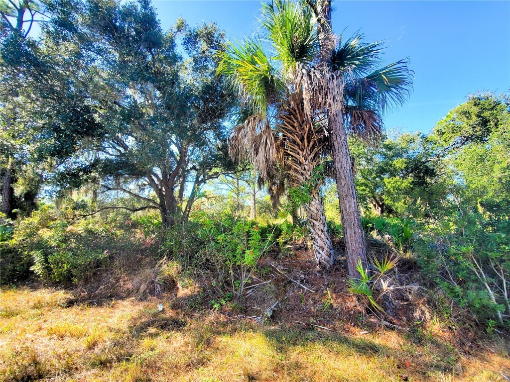 1603 Frisco Terrace Port Charlotte FL 33953 C7519827 image4