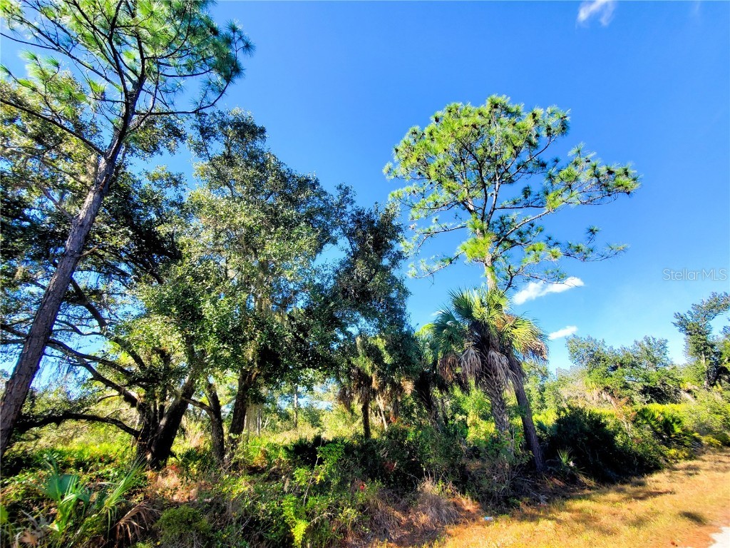 1603 Frisco Terrace Port Charlotte FL 33953 C7519827 image8