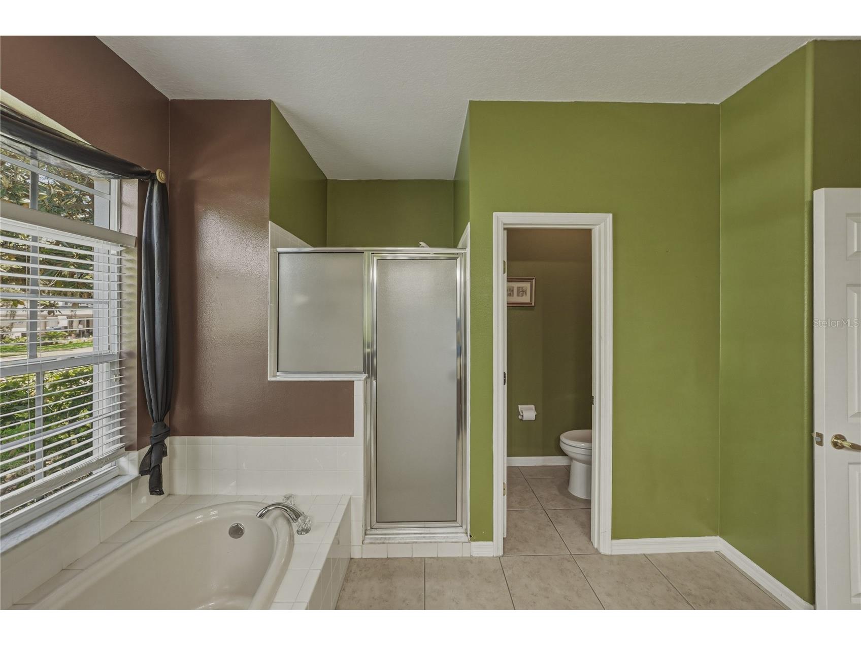 1603 Grand Heritage Boulevard Valrico FL 33594 TB8498301 image22