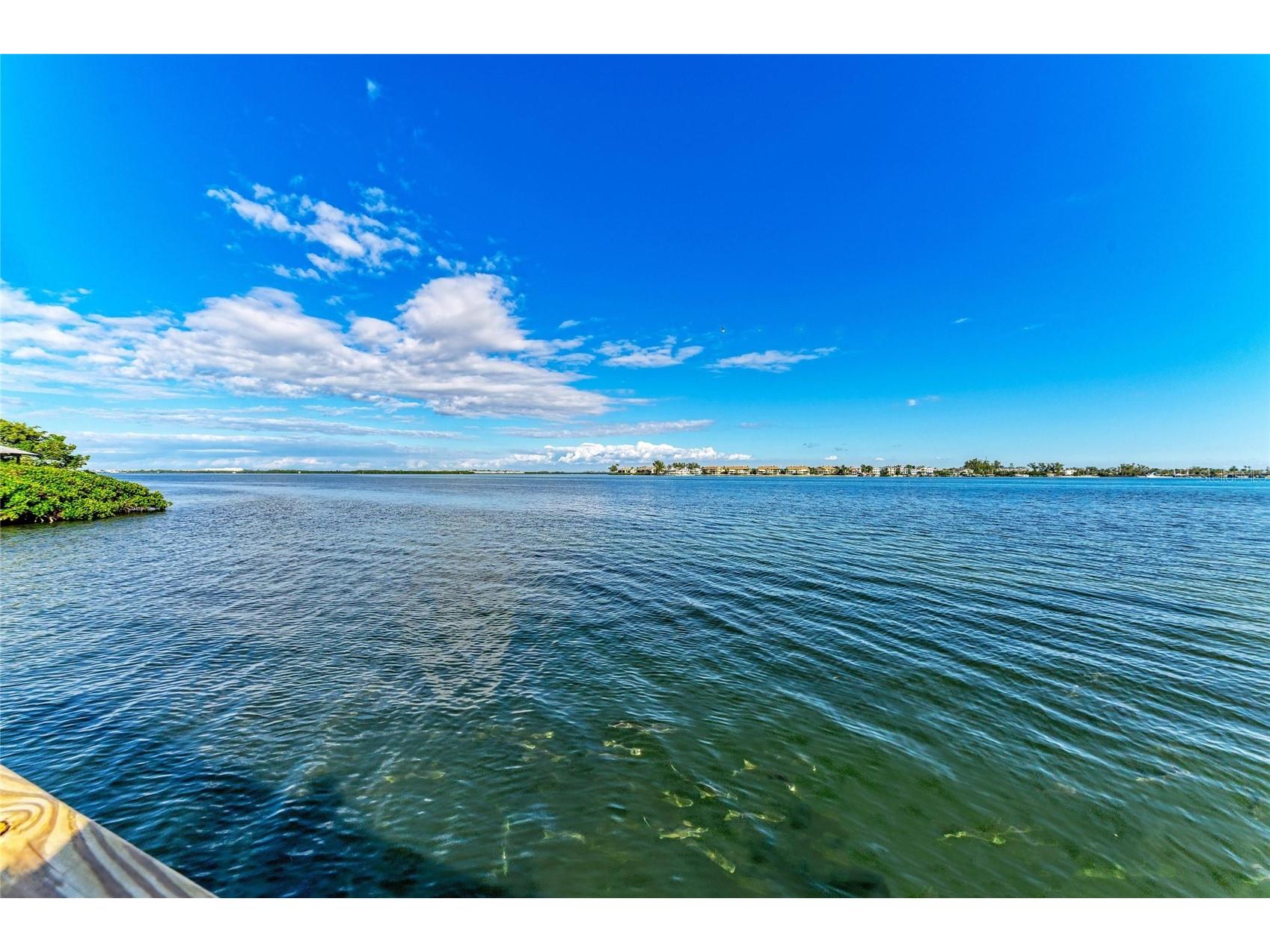 1603 Gulf Dr N #26 Bradenton Beach FL 34217 - INTRACOASTAL WATERWAY A4688846 image33