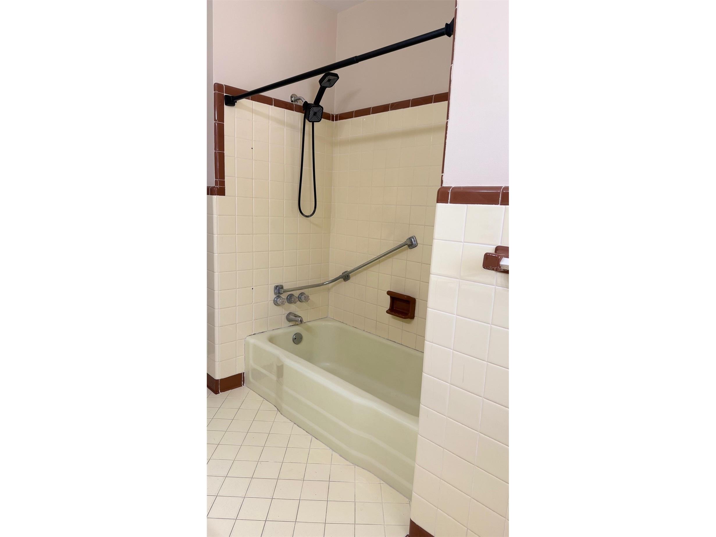 1603 Lake Nettie Court Eustis FL 32726 O6394929 image27