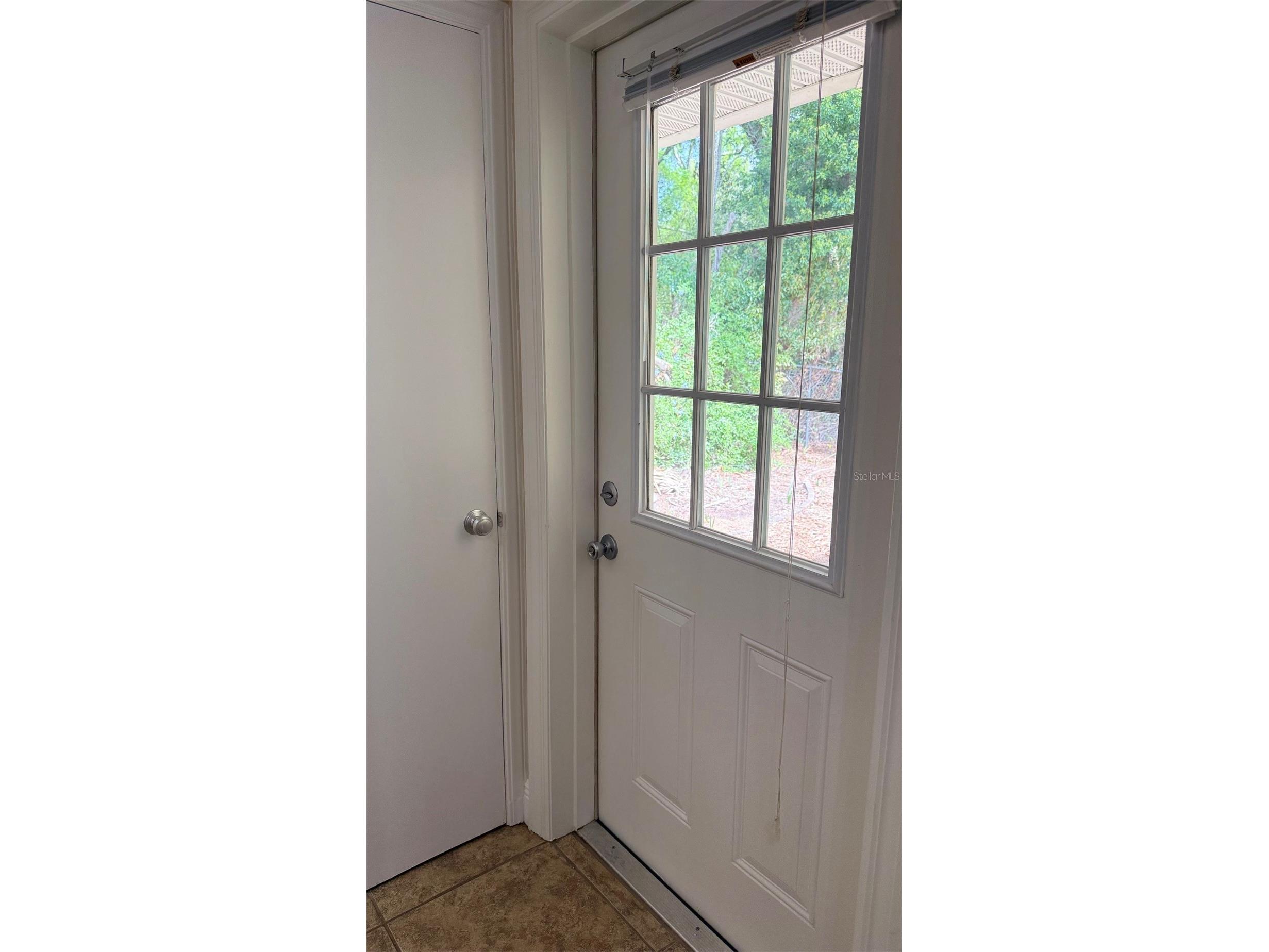 1603 Lake Nettie Court Eustis FL 32726 O6394929 image39