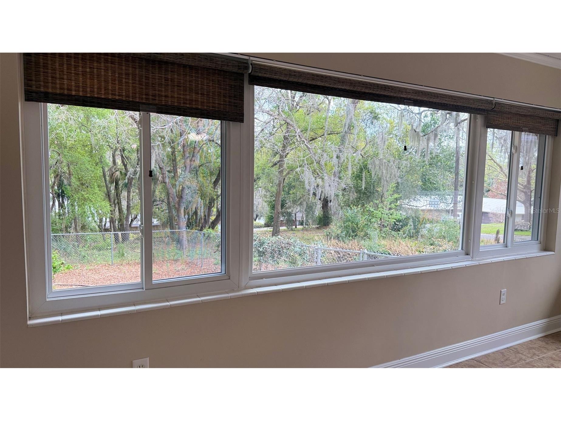 1603 Lake Nettie Court Eustis FL 32726 O6394929 image42
