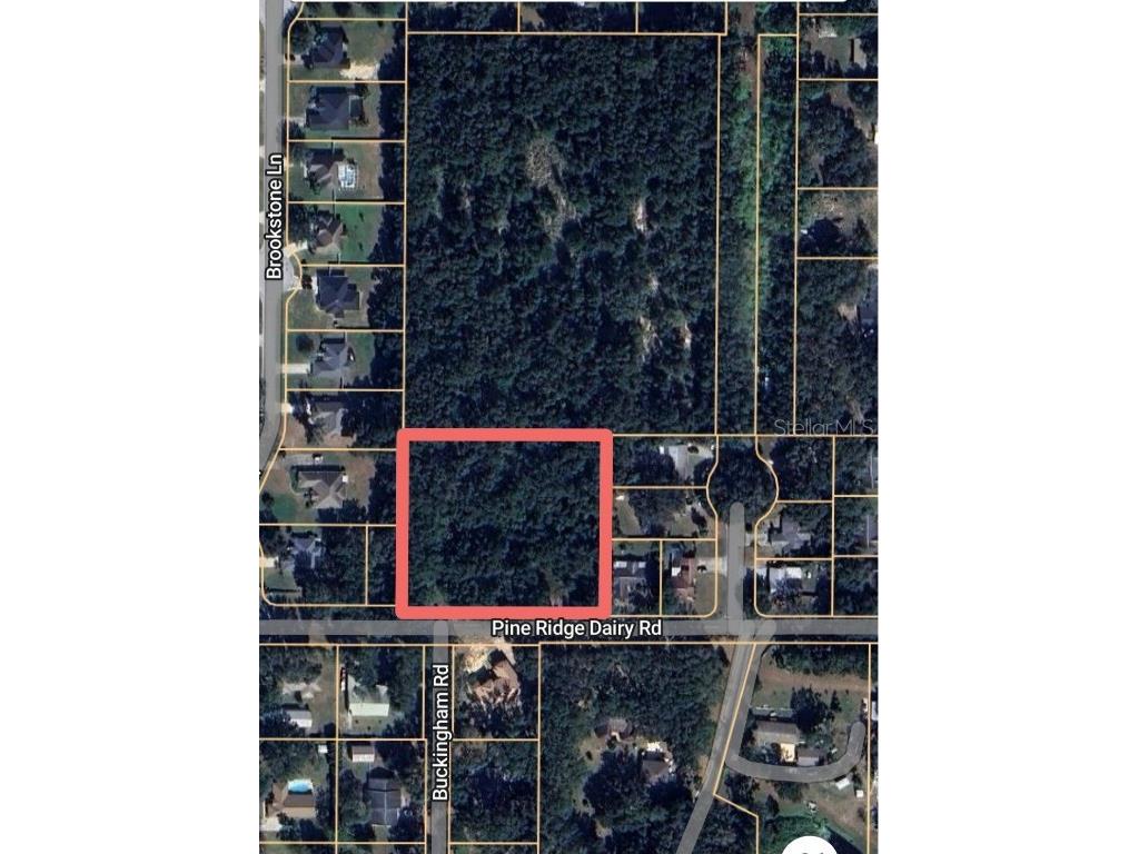 1603 Pine Ridge Dairy Road Fruitland Park FL 34731 O6268190 image1