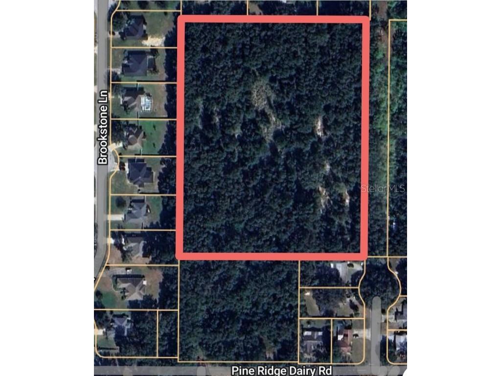 1603 Pine Ridge Dairy Road Fruitland Park FL 34731 O6268190 image2