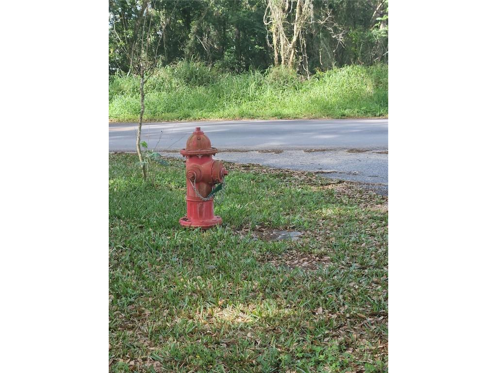 1603 Pine Ridge Dairy Road Fruitland Park FL 34731 O6268190 image3