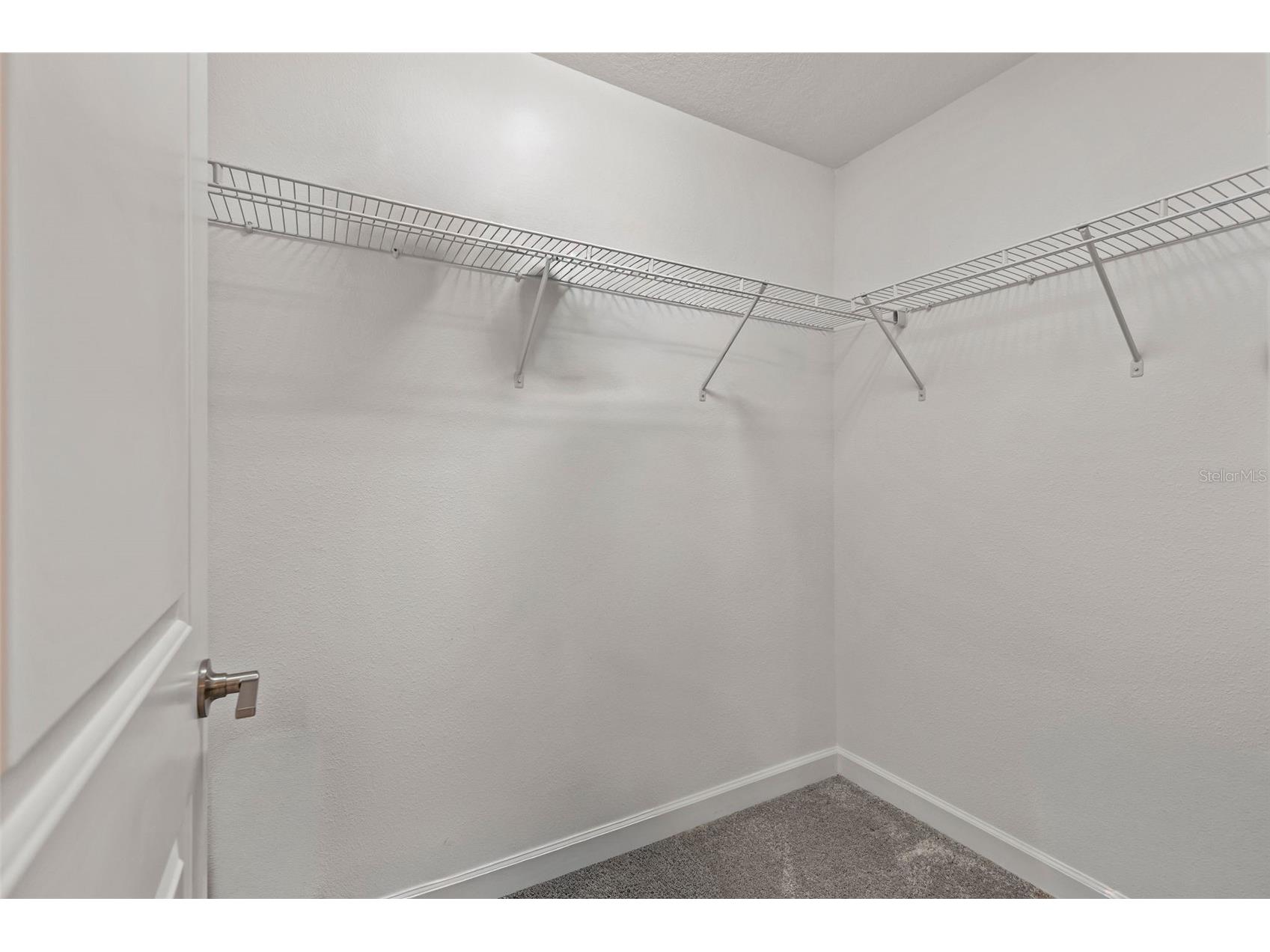 1603 Roseville Street Lutz FL 33549 TB8524924 image32