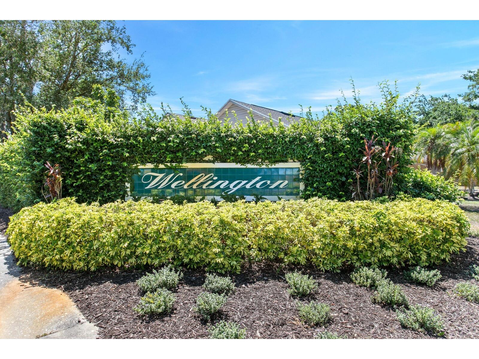 1603 Scotch Pine Drive Brandon FL 33511 TB8509417 image47