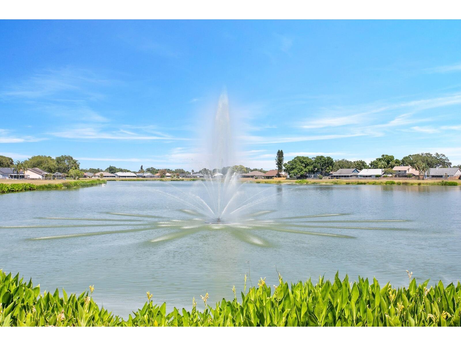 1603 Scotch Pine Drive Brandon FL 33511 TB8509417 image48