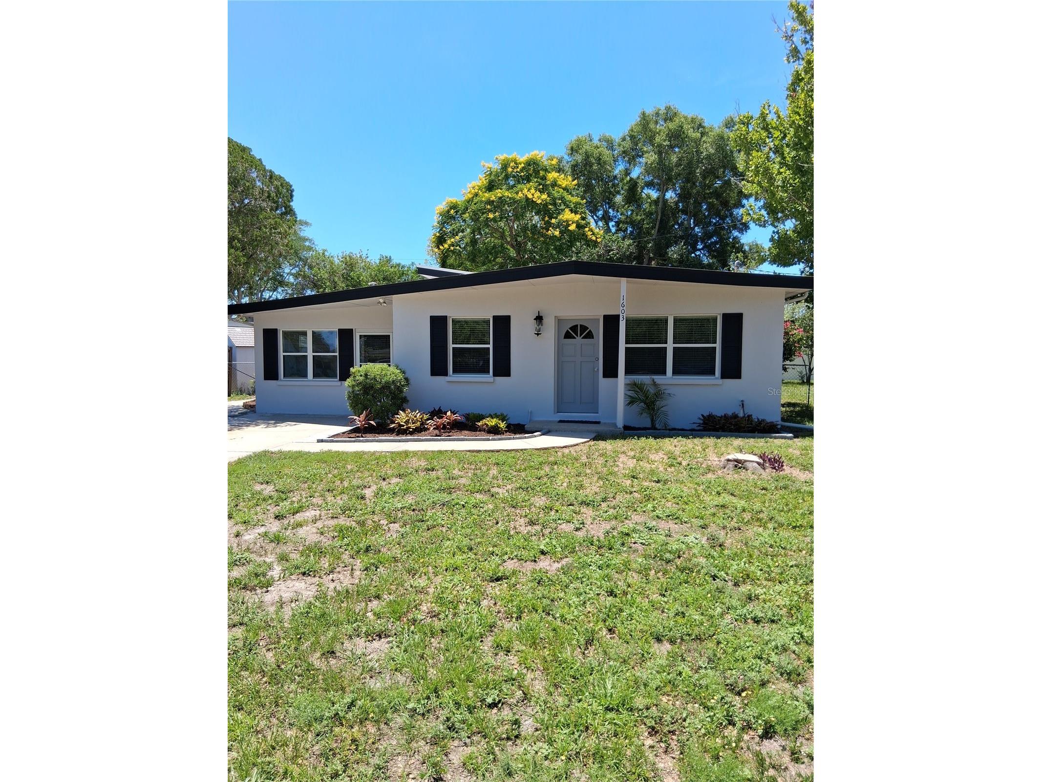 1603 Scott Street Clearwater FL 33755 TB8516448 image5