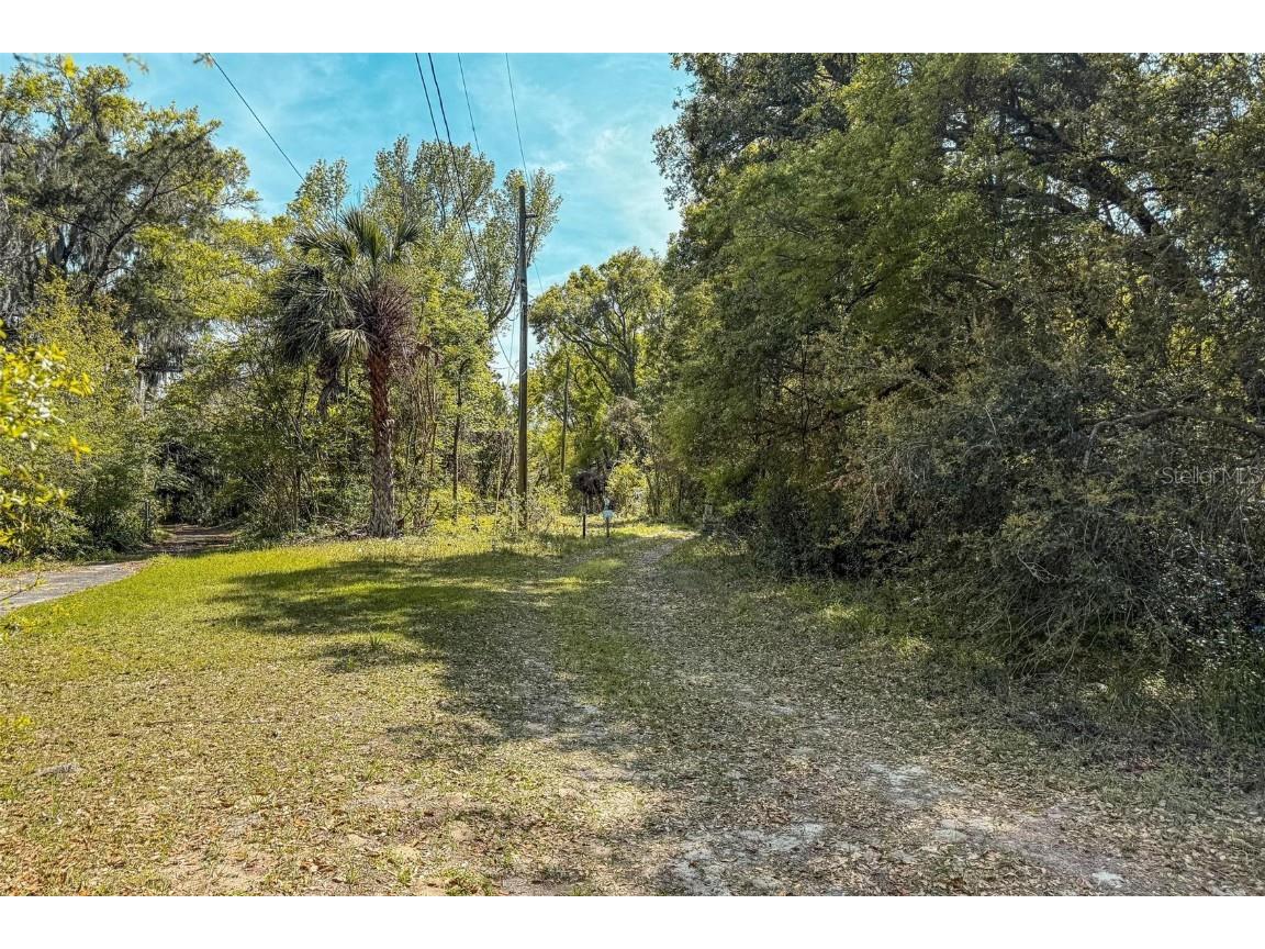 1603 SE 41st Avenue Gainesville FL 32641 OM700449 image1