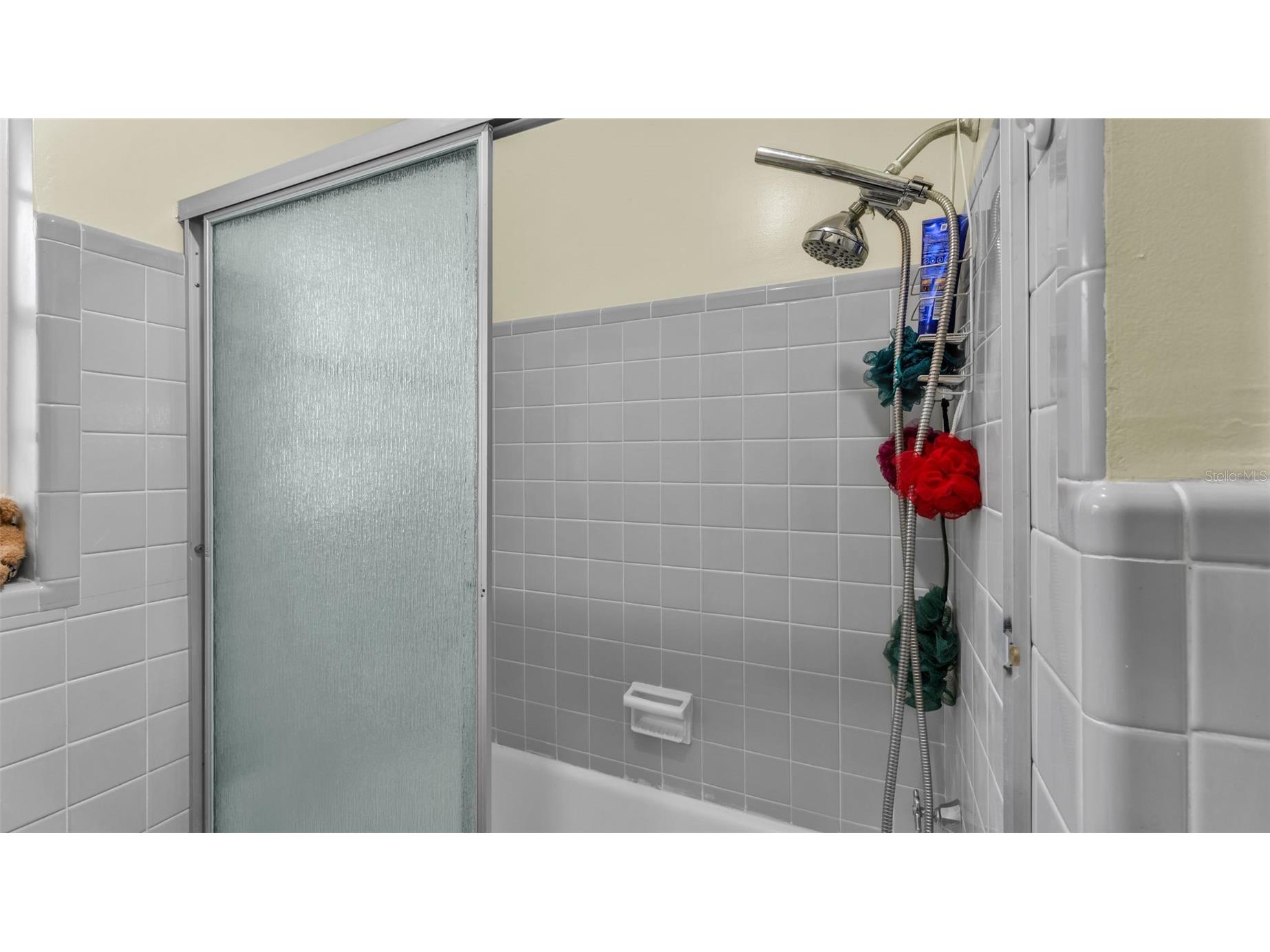 1603 Skinner Street Lakeland FL 33801 L4958560 image24